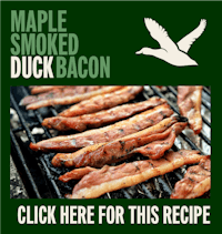 maple smoked duck bacon